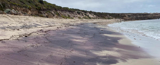 Evidence of hidden Antarctic Mountains washes up on SA Beaches