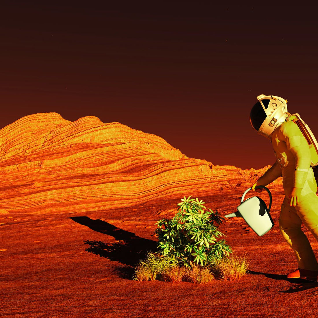 Can We Plant Trees On Mars And Create An Atmosphere?