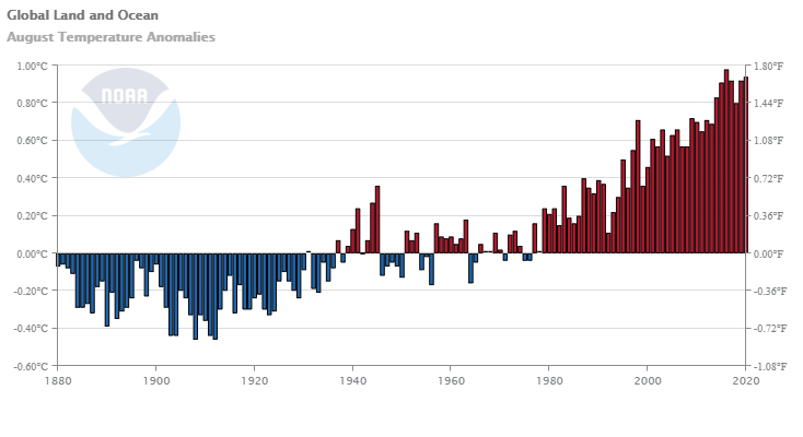 Official: August 2020 Is The Northern Hemisphere's Hottest In Recorded History