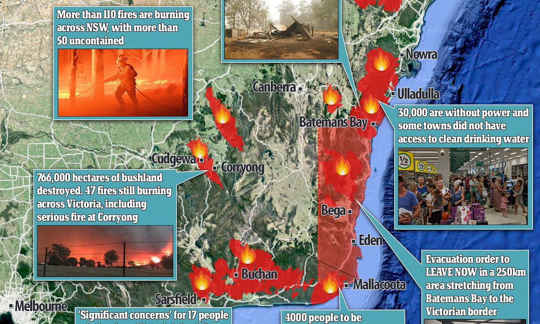 Our Undeniable Guide to Comprehending the Fires.