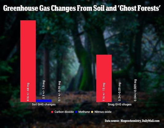 Ghost Tree 'Farts’: The Silent But Deadly Greenhouse Gas, Scientists Warn