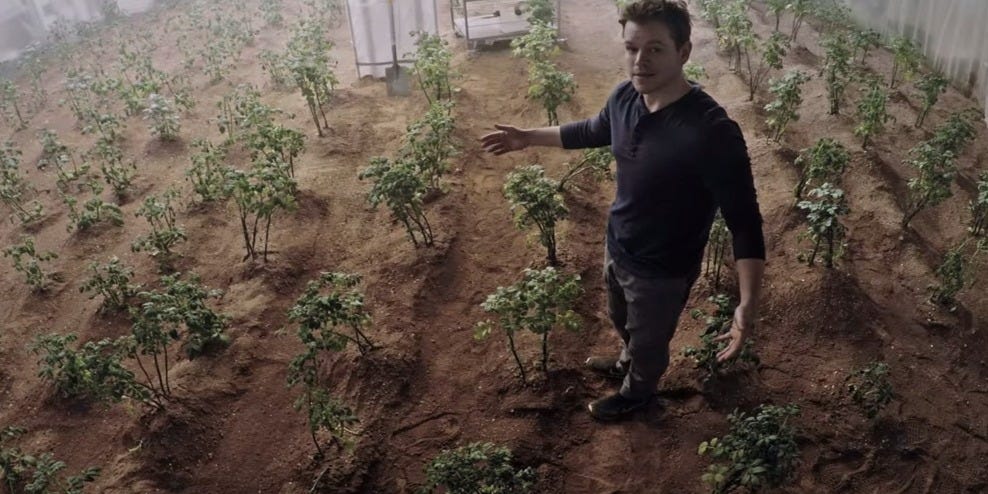 Extra Terrestrial Veggies Sucessfully Grown in Mars-esque Soil!