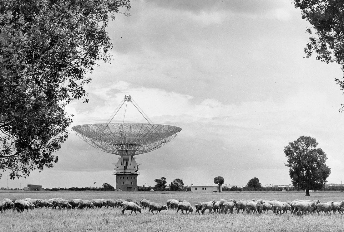 Stand Proud, "The Dish" Is Finally Added To Our National Heritage List.