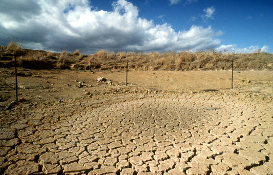 "Climate Change Is Now An Australian Medical Emergency" - Australian Medical Association