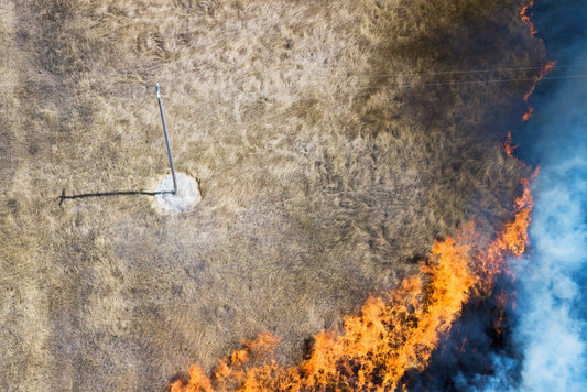 Appel Invents New Retardant "Bushfire Vaccine".