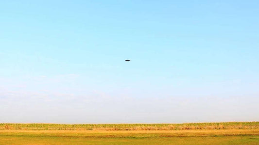 Earth's First Fully Functioning Flying Saucer is Real.