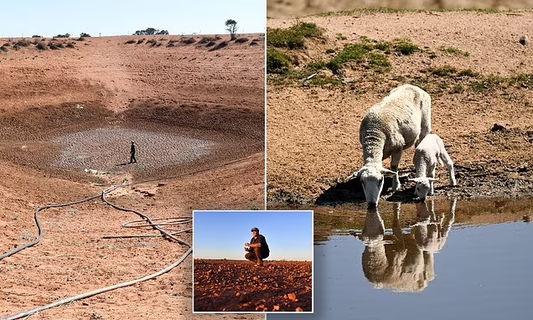 Here's What a 'Mega-Drought' Would Mean for Australia