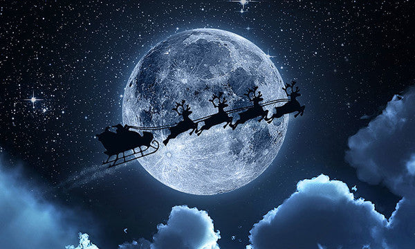 HOW DOES SANTA DELIVER ALL THE PRESENTS?