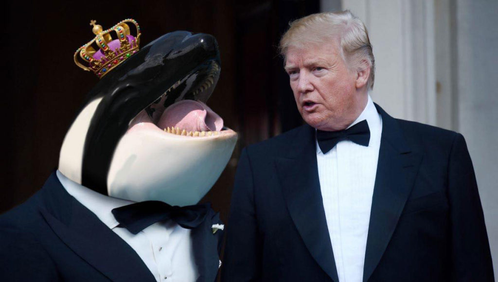 Trump speaks to "Prince of Whales", is a Numpty.