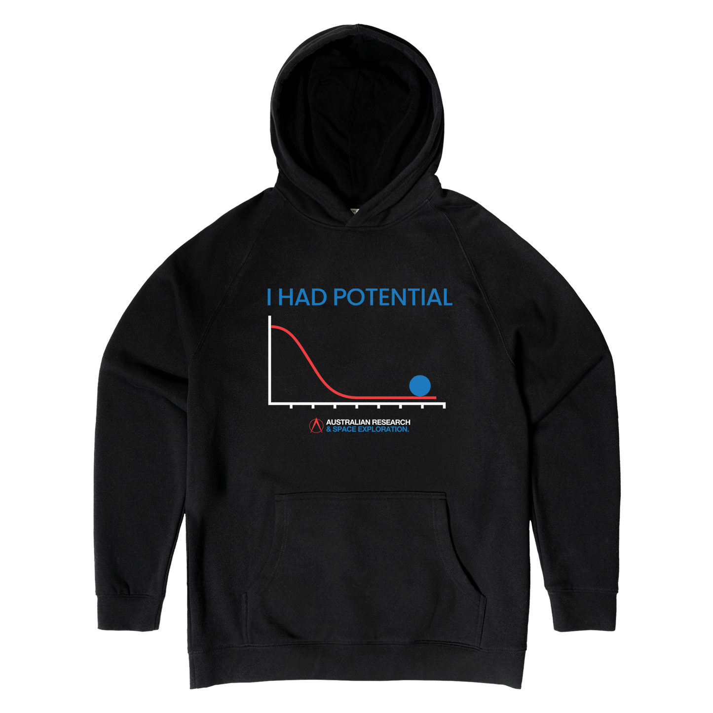 I Had Potential Hoodie Black