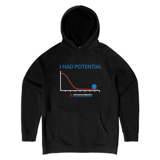 I Had Potential Hoodie Black